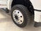 2024 Ford Super Duty F-450 DRW XL