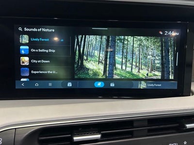 2026 Hyundai Palisade Hybrid Blue SEL Premium 7 Passenger